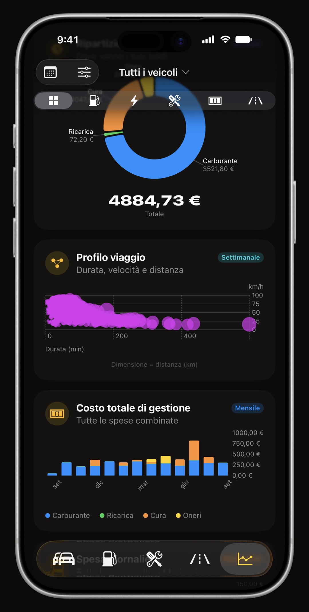 Grafici dei costi di gestione e dei consumi di WrenchTime su iPhone